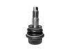 Ball Joint:5429314